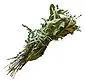 85px-Bouquet_garni_p1150476_extracted
